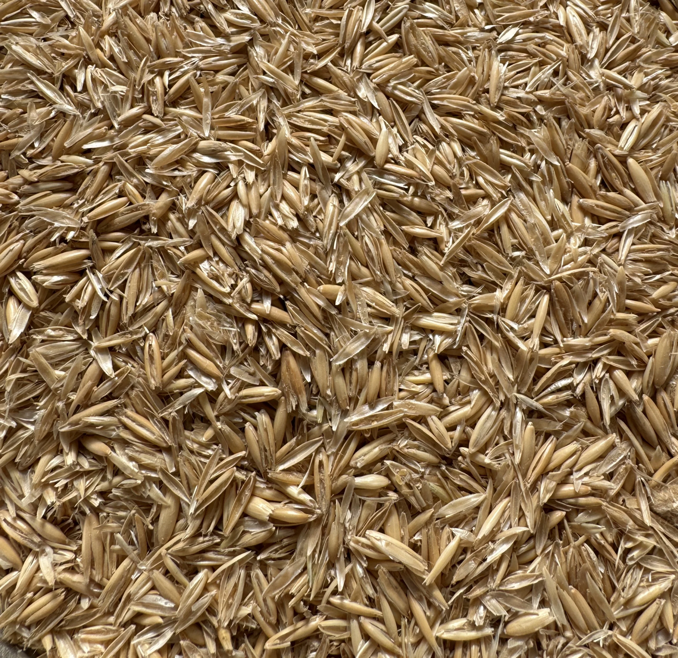 WesterfeedImg1